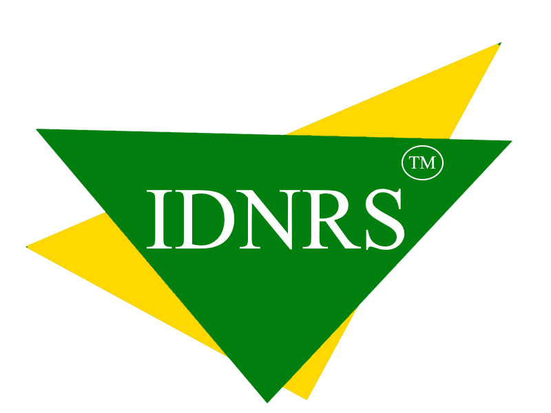 International Domain Name Registration Service